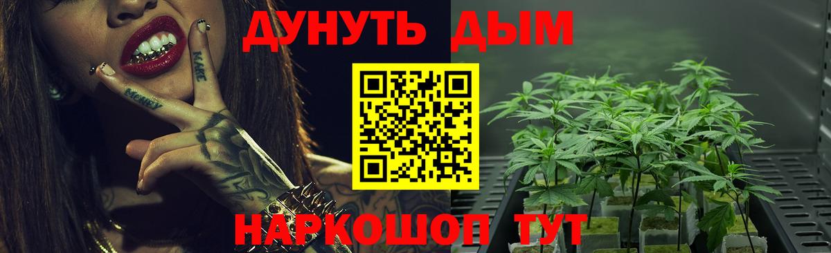 Шишки марихуана планчик  Вход с VPN  Кириши  Бошки марихуана планчик 